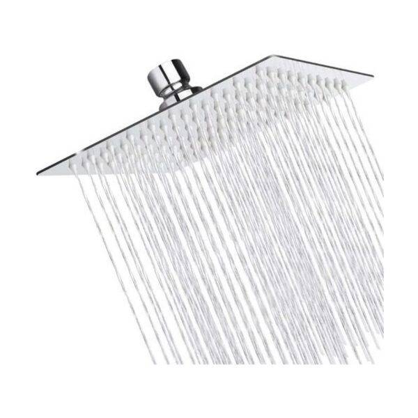 r200520 Ducha Cuadrada 20 X 20 Acero Inox. Flor De Baño China Sin Caño