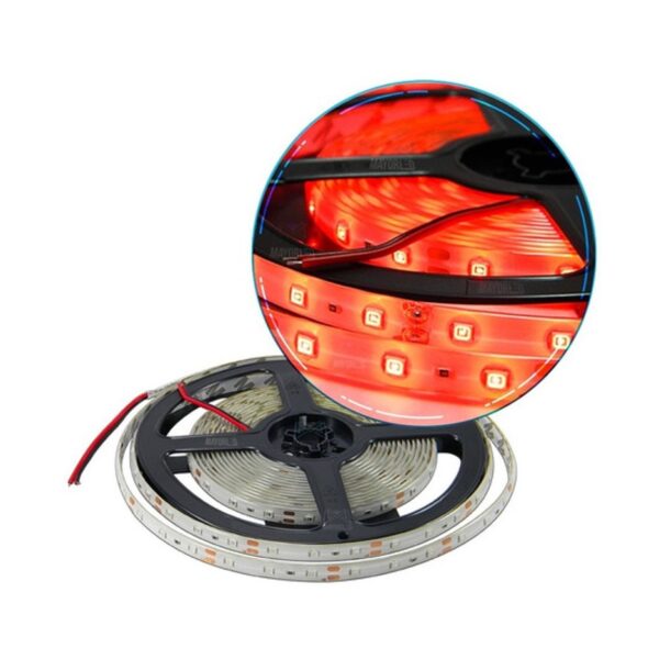 Tira Led 3528 / 2835 Exterior 5 Metros 300 Rojo