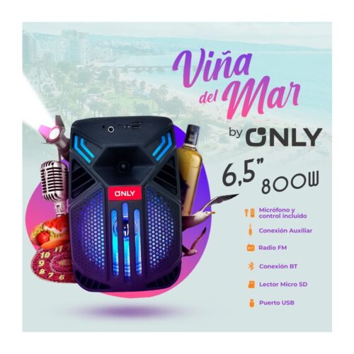 Parlante Bluetooth 6.5 Pulgadas Karaoke C/Microfono 800W Mod FS-650 Only Viña del Mar