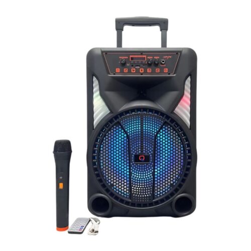 Parlante Portátil 12" Bluetooth Luces RGB Led Karaoke Usb Micrófono Radio Fm