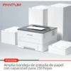 Impresora Laser Monocromatica Pantum P3010dw Wifi Doble Faz Color Blanco