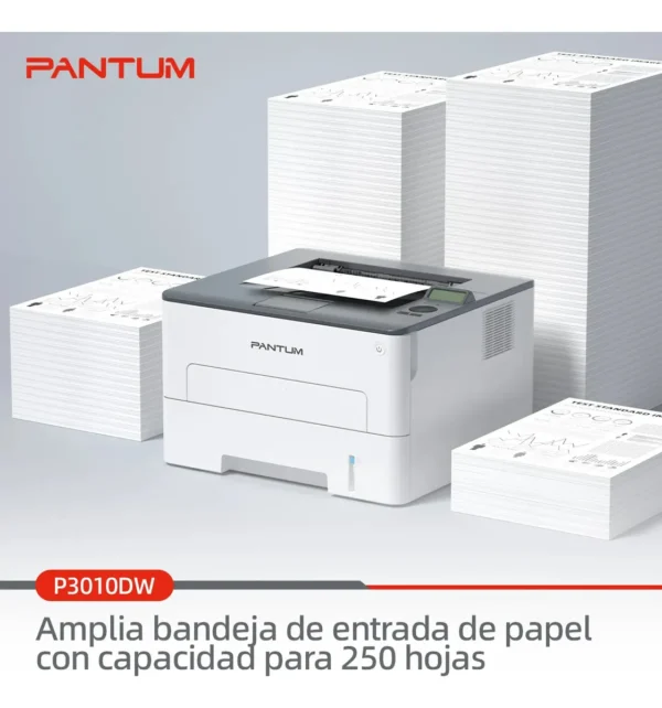 Impresora Laser Monocromatica Pantum P3010dw Wifi Doble Faz Color Blanco