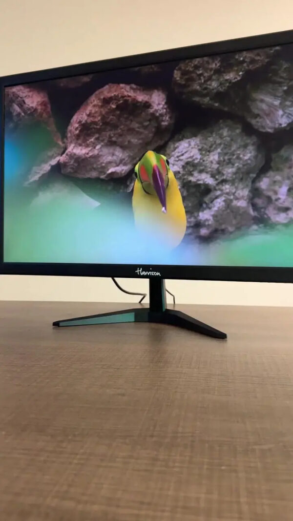 Monitor 22 Led Hd Hdmi Vga | Harrison